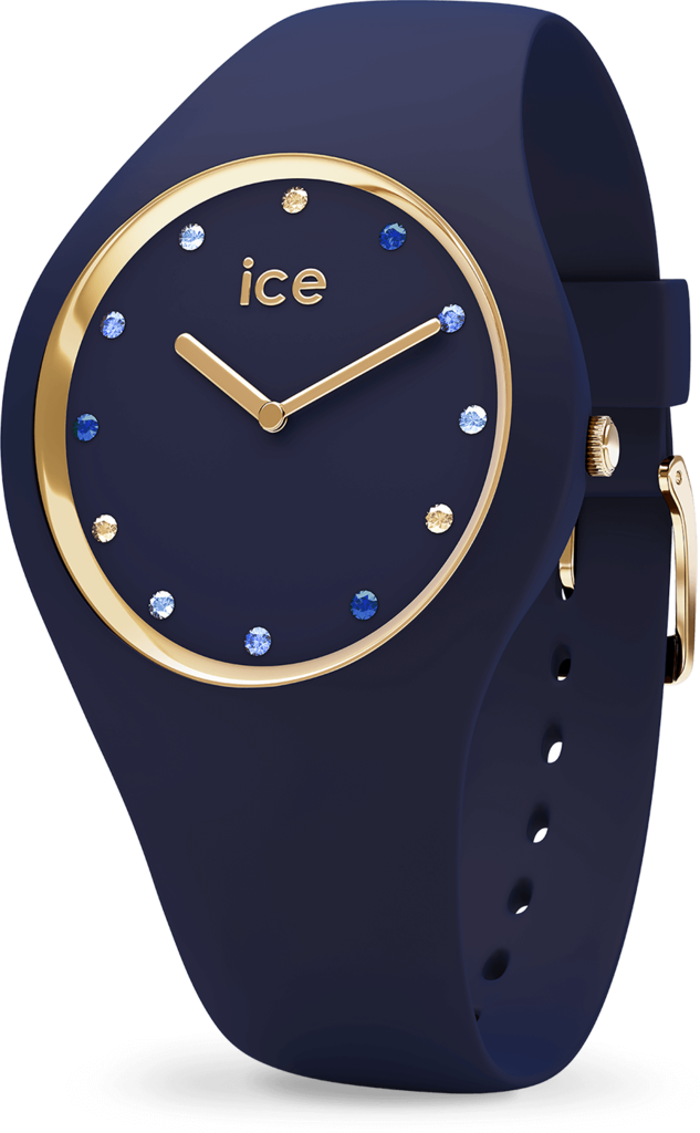 

Часы Ice-Watch 016301