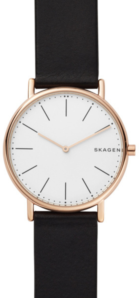 

Часы SKAGEN SKW6430