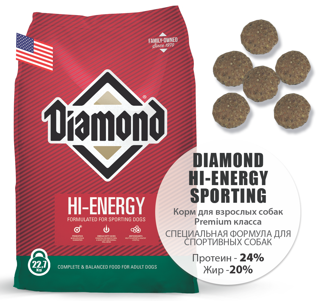 Diamond Hi Energy Sporting 10 442x10