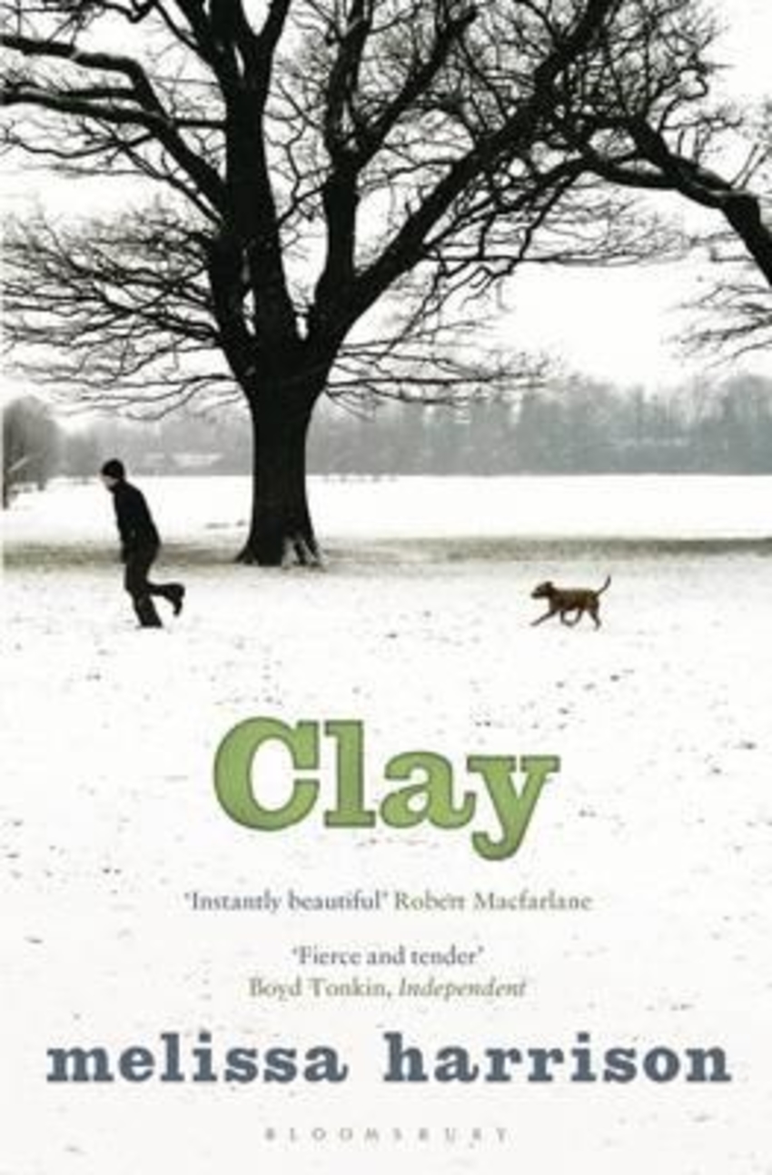 

Книга Clay