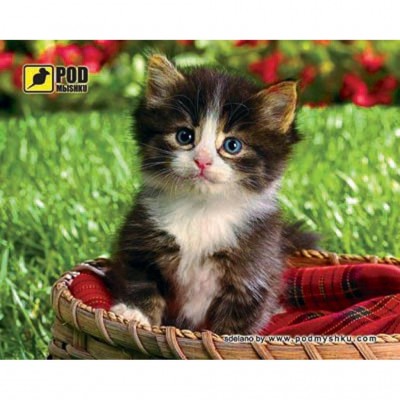 

Килимок Pod Mishkou Котенок в корзине