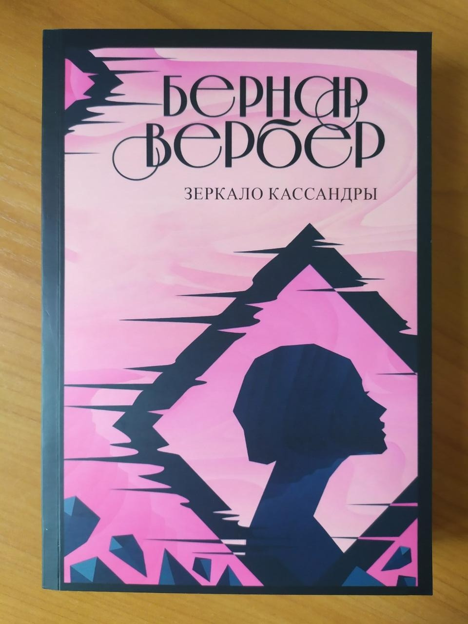 

Бернар Вербер. Зеркало Кассандры