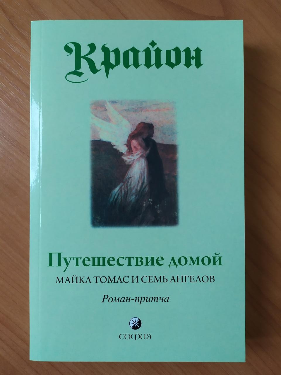 

Крайон. Путешествие домой. Майкл Томас и семь ангелов. Роман-притча