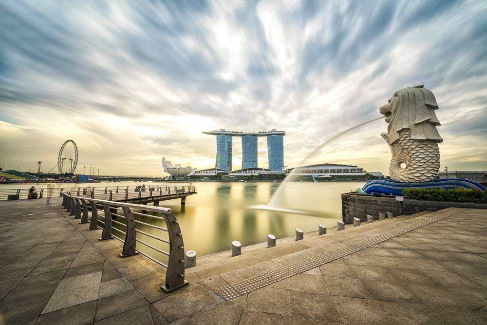 

Фотообои LaPrint Сингапур Кожа (10000306)