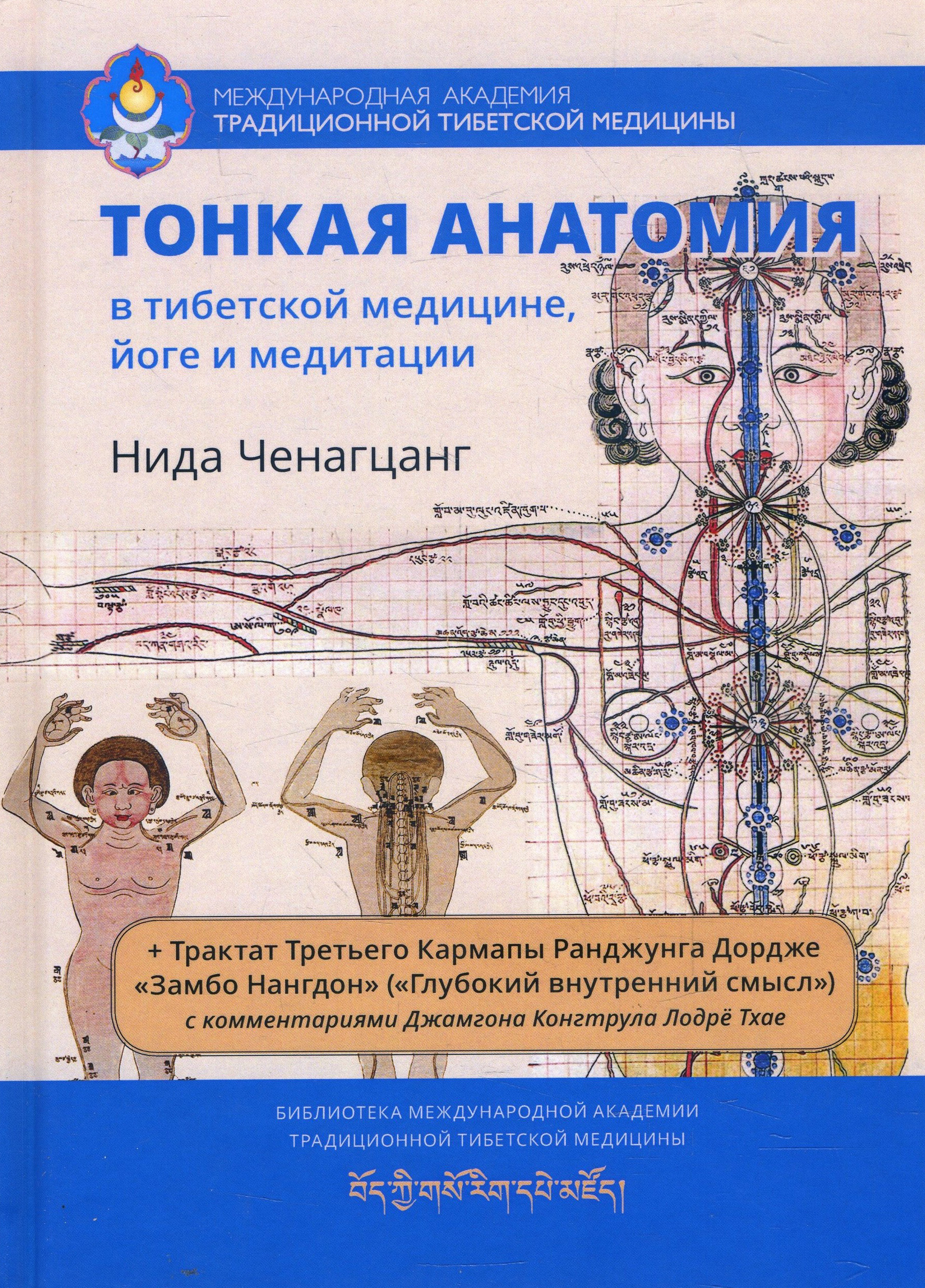 

Тонкая анатомия в тибетской медицине, йоге и медитации. Ключ к энергетической структуре человека - Нида Ченагцанг (978-5-907243-06-4)