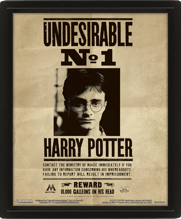 

Постер 3D Pyramid International Harry Potter - Potter/Sirius 3D Lenticular Poster 235 x 285 x 45 мм