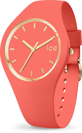 

Часы Ice-Watch 017058