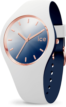 

Часы Ice-Watch 016983