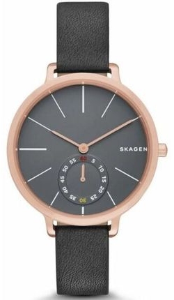 

Часы SKAGEN SKW2396
