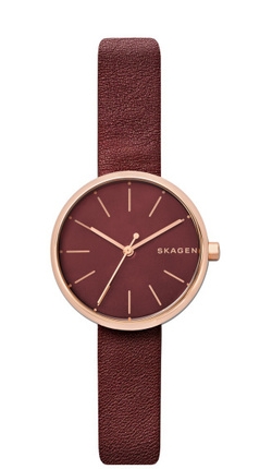

Часы SKAGEN SKW2646