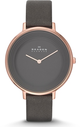 

Часы SKAGEN SKW2216