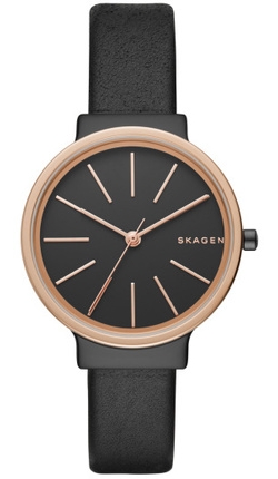 

Часы SKAGEN SKW2480