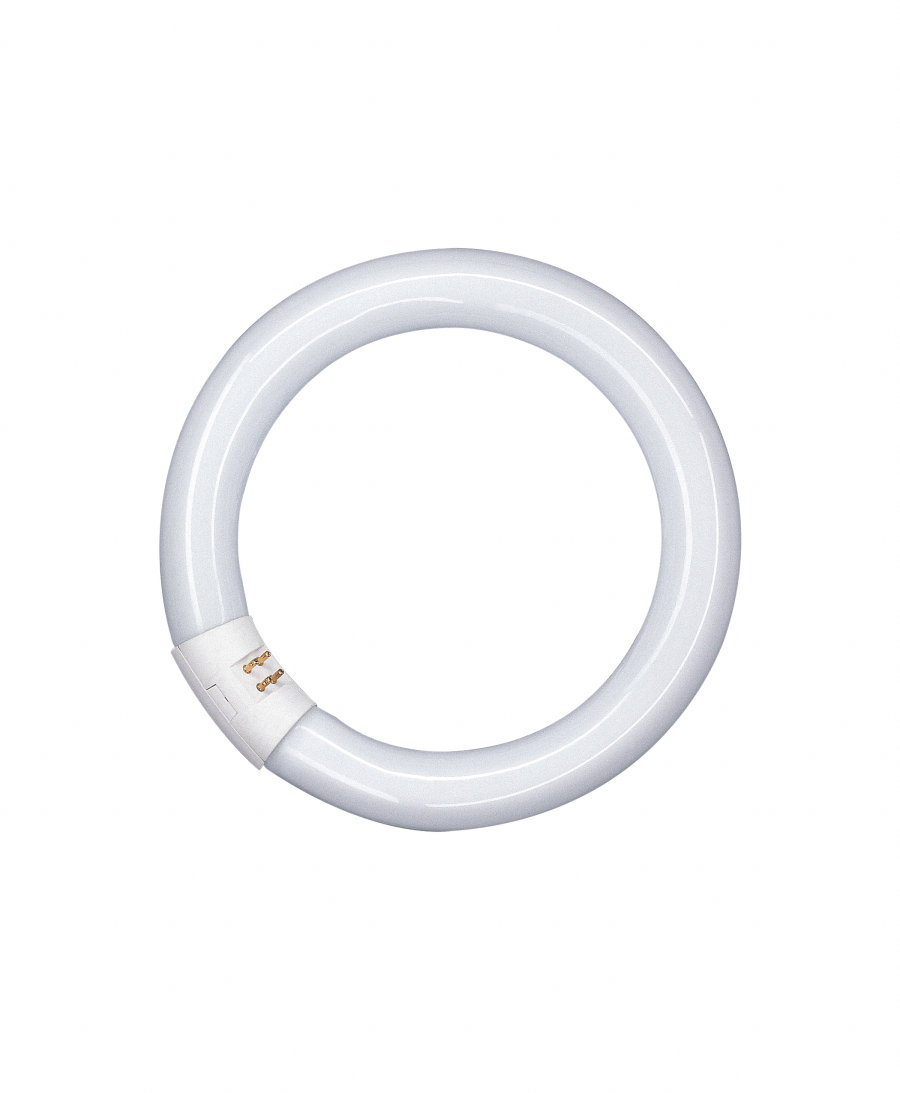 

Люминесцентная круговая лампа OSRAM L 22W/865 C G10Q (4008321581105)