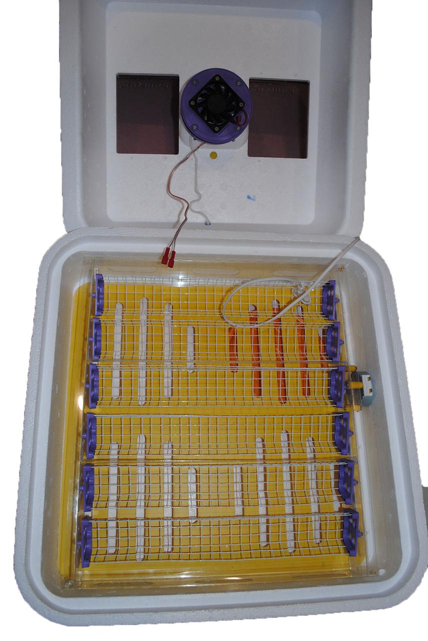 

Инкубатор Рябушка 70 Smart ручной, аналоговый ТЭН