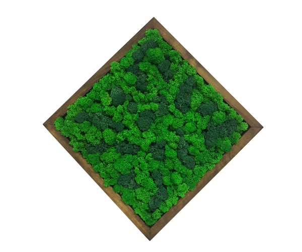 

Картина квадратная MossArt из стабилизированного мха 30 см Разноцветная (1505)