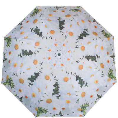 

Зонт Airton Z3916-4241