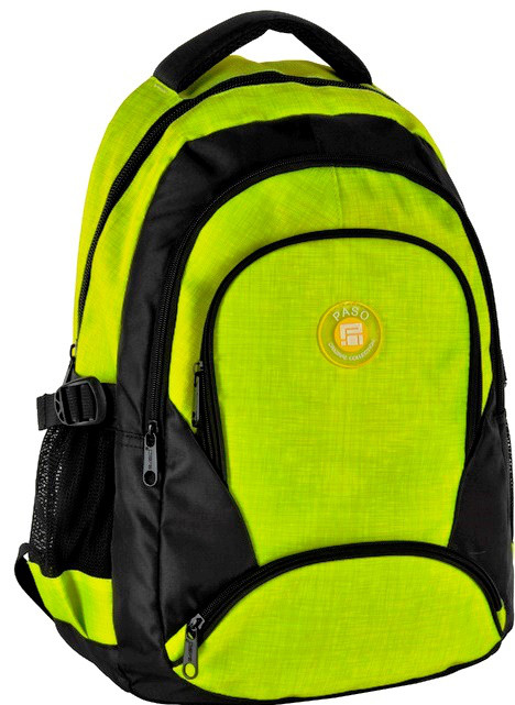

Городской рюкзак PASO 21L, салатовый Ps16-8005Z