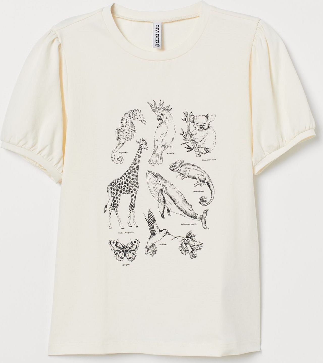 

Футболка H&M 8704392dm XL Кремовая