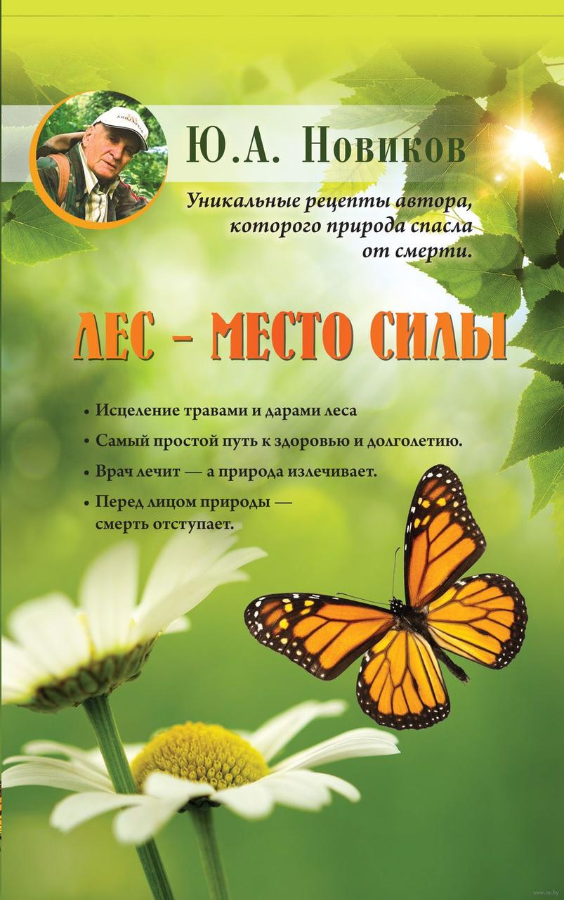 

Лес - место силы. Ю.Новиков