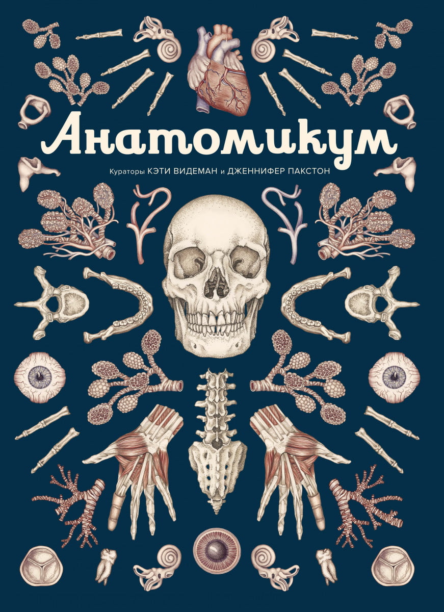 

Анатомикум - Дженнифер Пакстон (9785389165120)