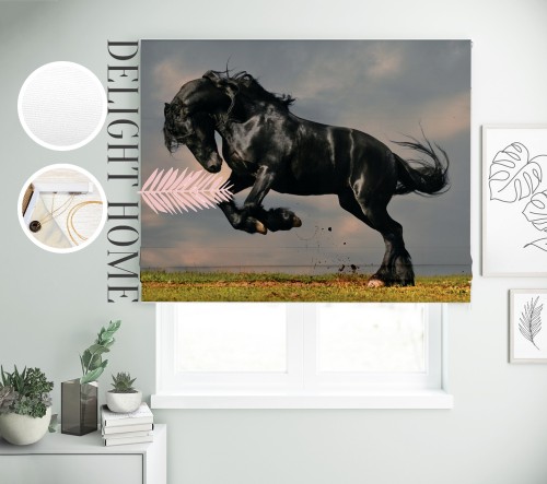 

Римская штора с фотопечатью 00-048 система Light I&H Блекаут Нова 300*170 см