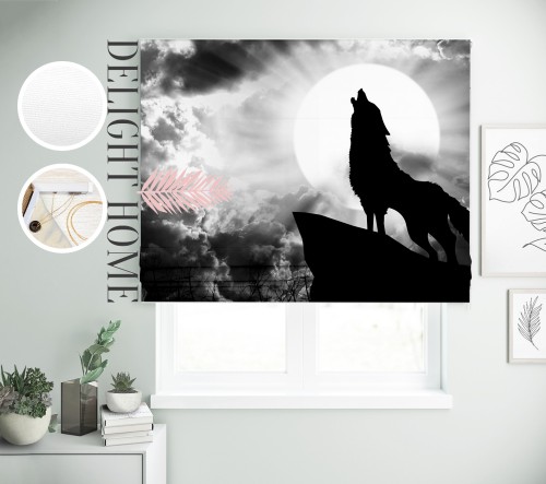 

Римская штора с фотопечатью 08-110 система Light I&H Блекаут Нова 140*170 см