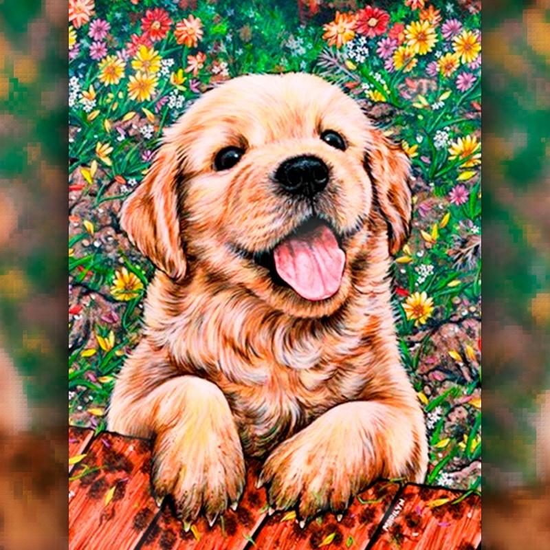 

Алмазная вышивка мозаика The Wortex Diamonds Щенок 40x50см TWD20009L полная зашивка квадратные стразы. Набор алмазной вышивки