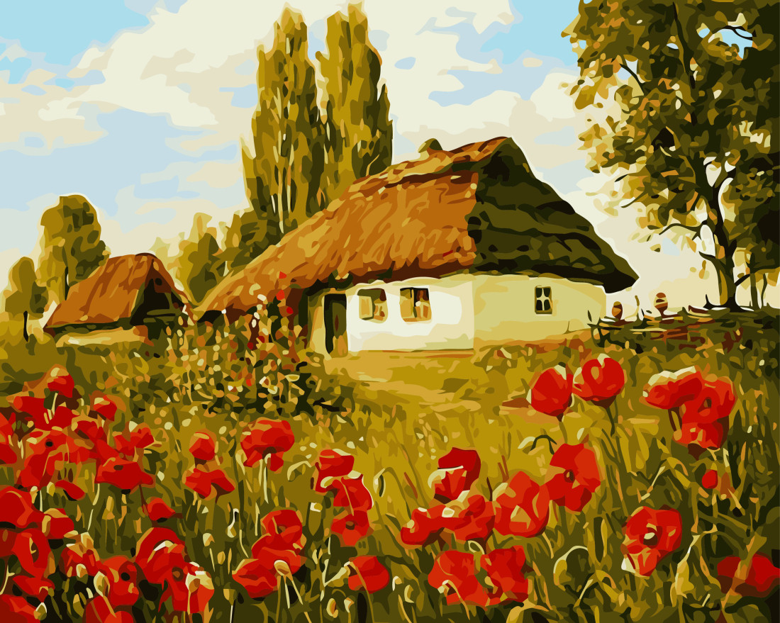 

Картина по номерам 40x50 см Домик в маках