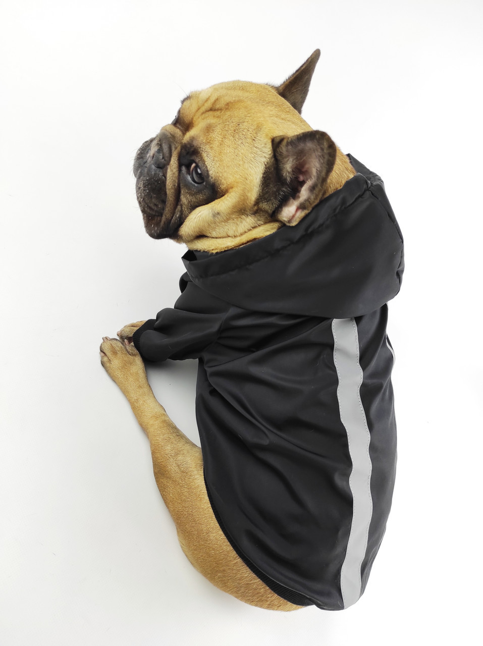 

Курточка-ветровка со светоотражающими полосками DogClub L