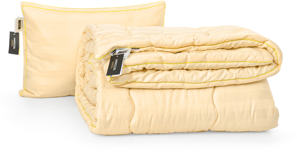 

Набор антиаллергенный MirSon 3M Thinsulatе Зима Carmela Hand Made №3065 одеяло 155х215 + подушка 50x70 трехкамерная средняя