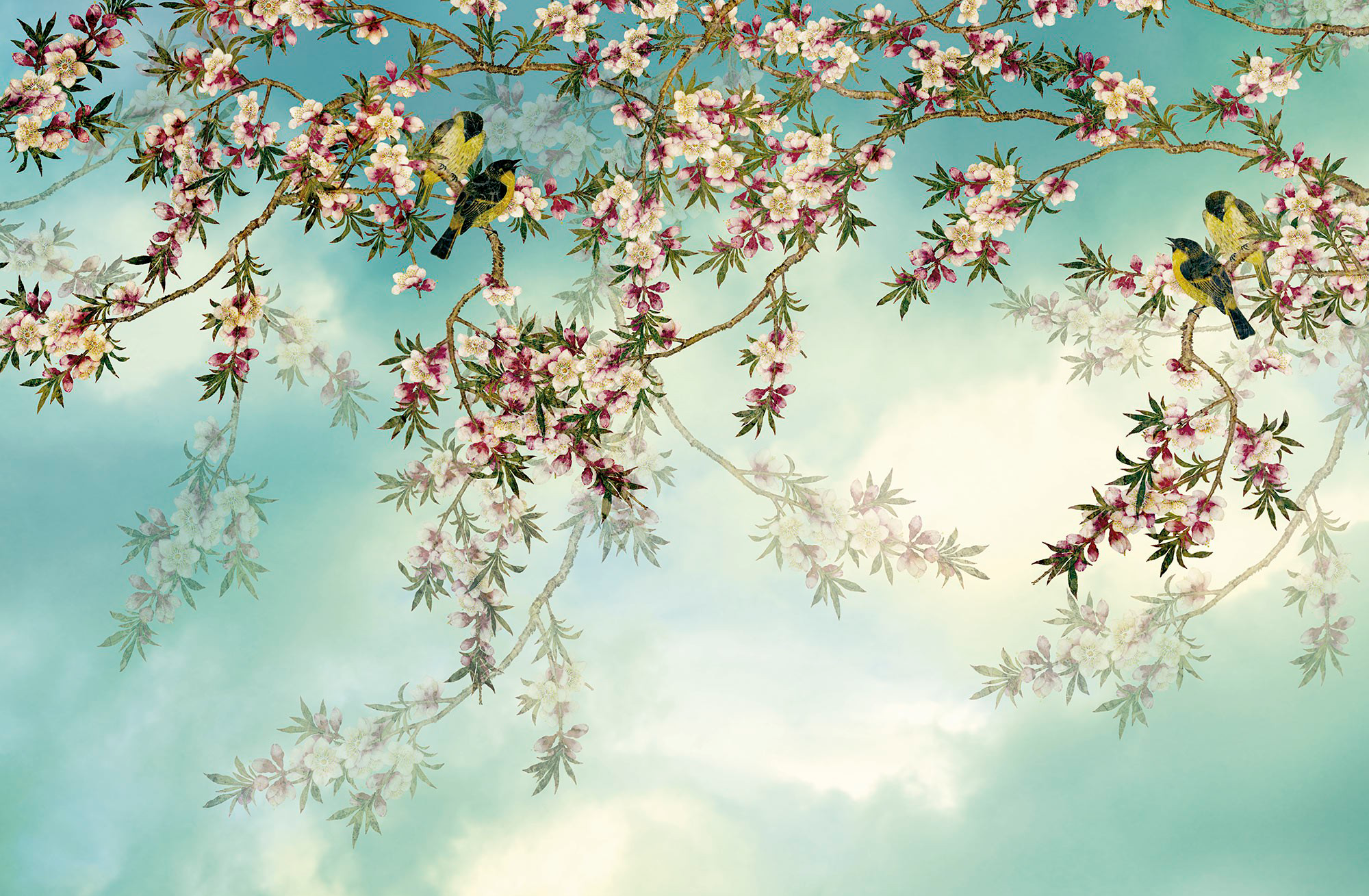 

Фотообои бумажные Komar Sakura (Сакура + птицы) 368x254 см 8 сегментов (8-213)