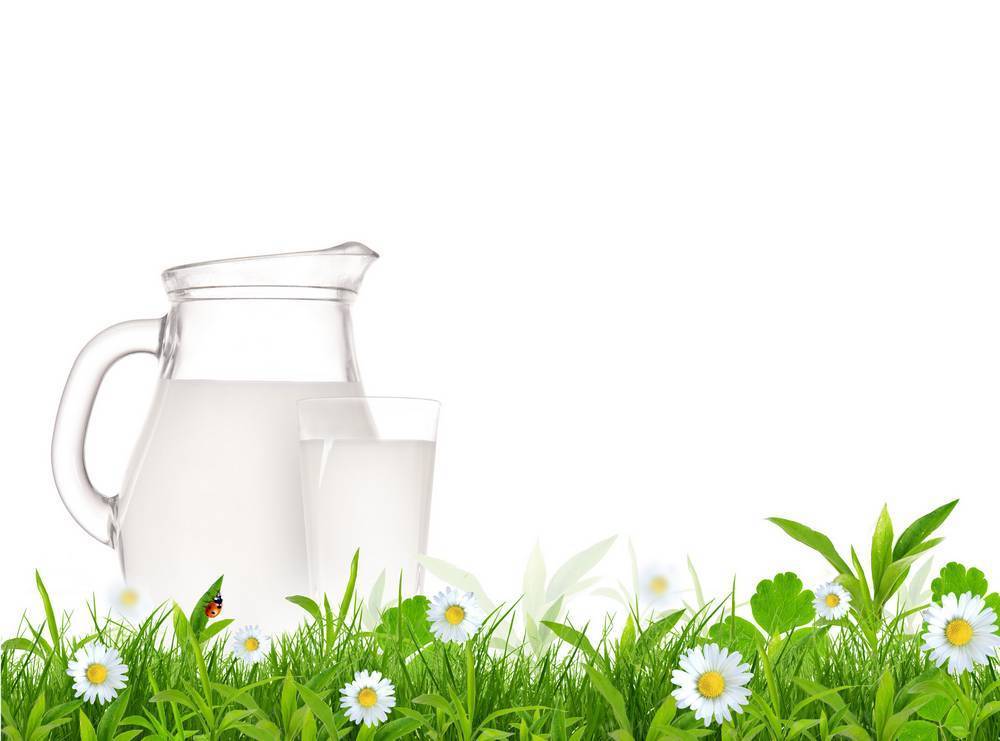 

Картина на холсте LaPrint Молочные продукты 120х80 см