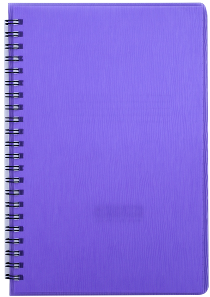 

Набор тетрадей 5 шт Buromax Rain 80 листов А5 в клетку пластиковая обложка Фиолетовый (BM.24552152-07)