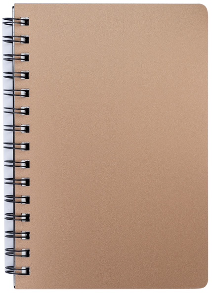 

Набор тетрадей 5 шт Buromax Status 80 листов А6 в клетку пластиковая обложка Бронза (BM.24652153-51)