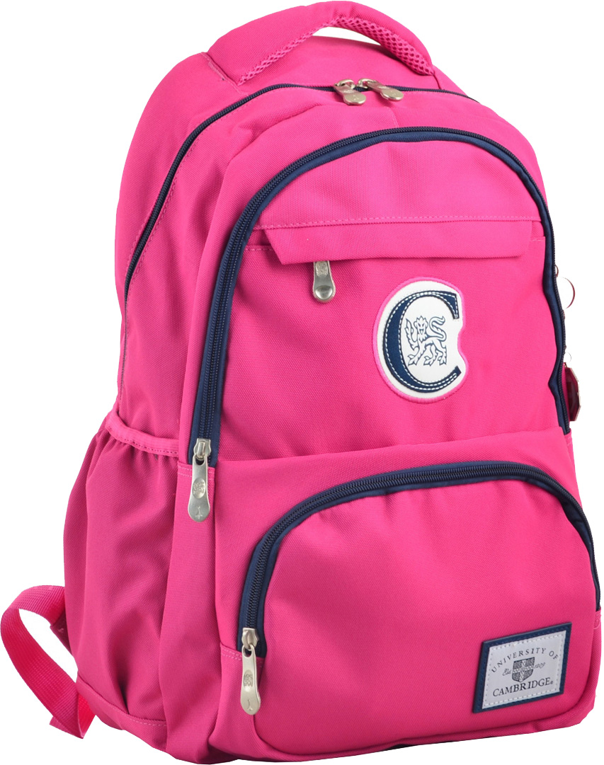 

Рюкзак молодежный Yes CA 151 0.6 кг 48х30х15 см 22 л розовый (555752)