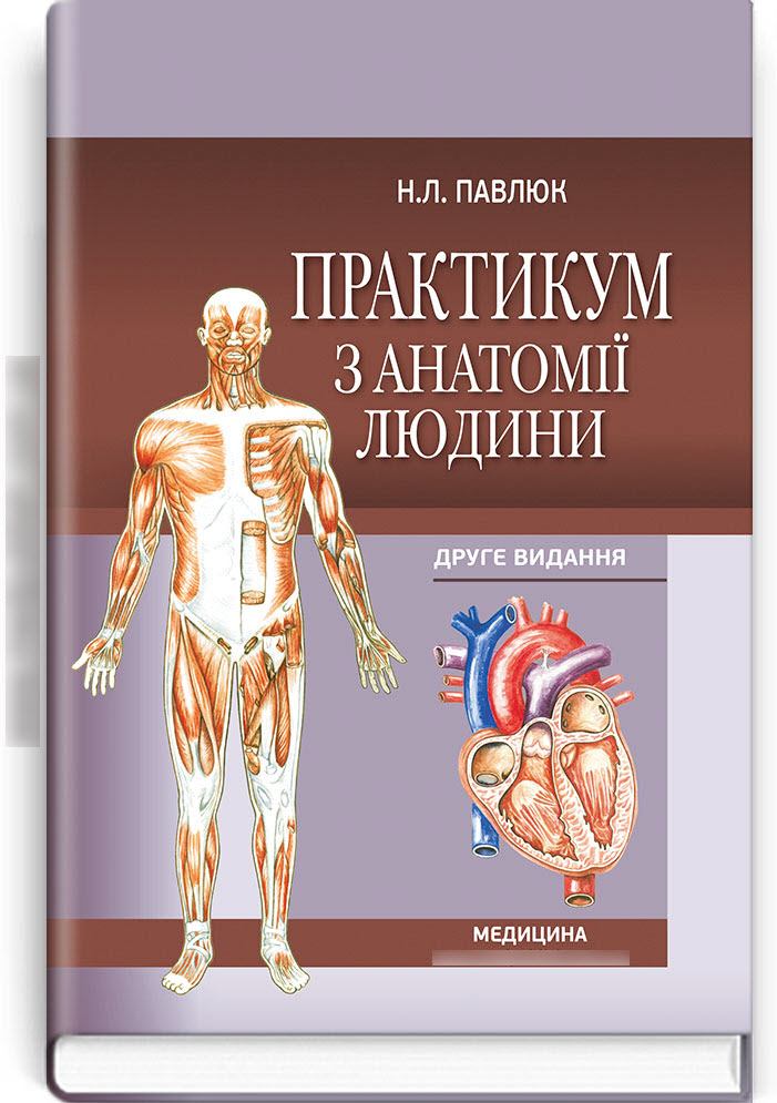 

Практикум з анатомії людини: Навчальний посібник. — 2-е видання