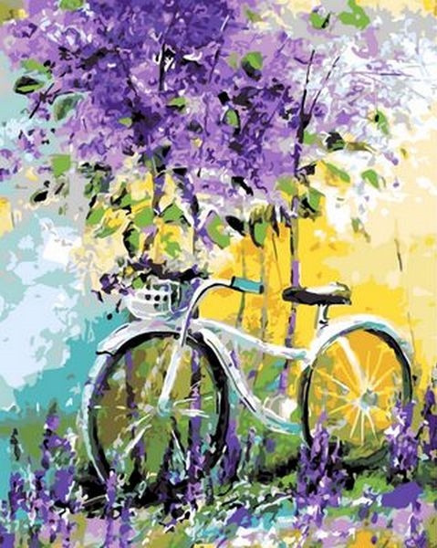 

Картина по номерам 40×50 см. Mariposa Мой велосипед Художник Ольга Дарчук (Q 765)