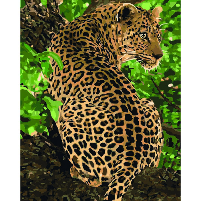 

Картина по номерам 40×50 см. Идейка (без коробки) Леопард (КНО 4101)