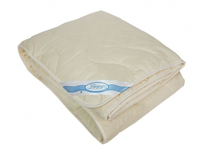 

Одеяло Деми Хлопок Leleka-Textile Евро 200х220 (SKL53-239795)