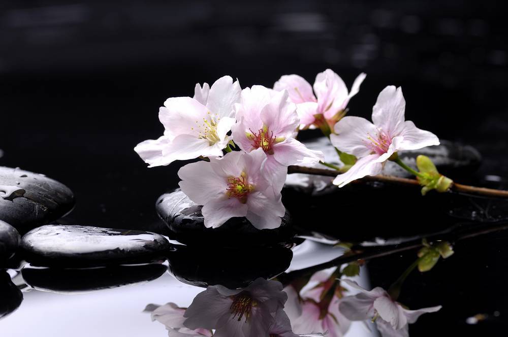 

Картина на холсте LaPrint SPA 120х80 см