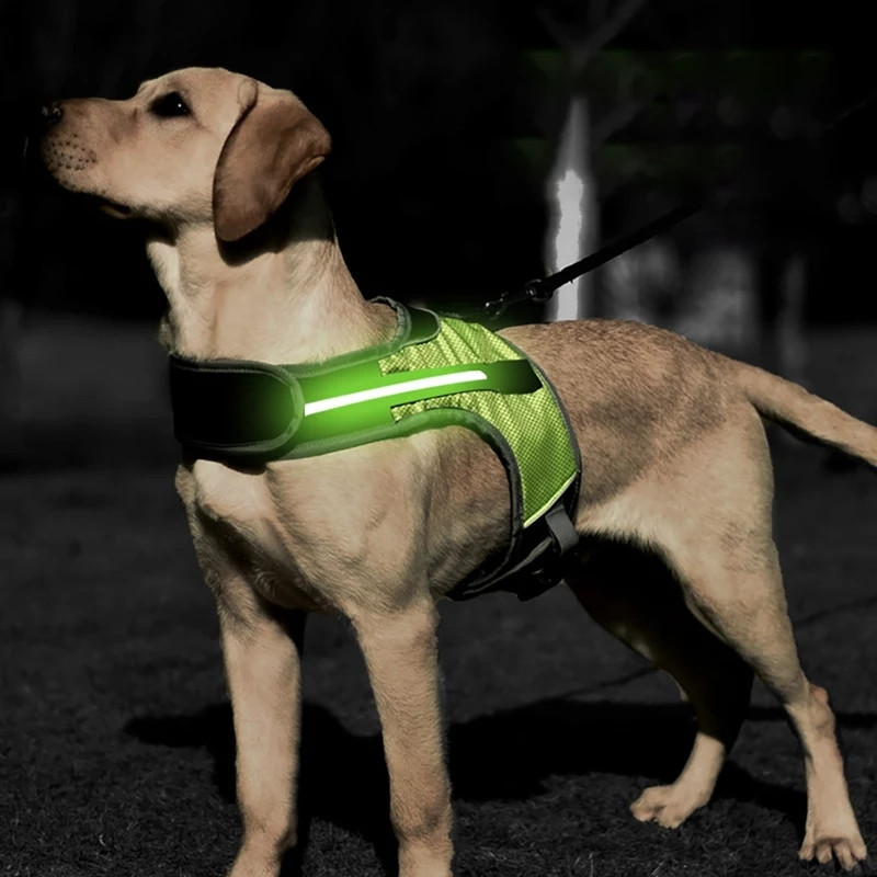 

Шлея с подсветкой для собак DogClub Green L (Г58-72/Ш45-57)
