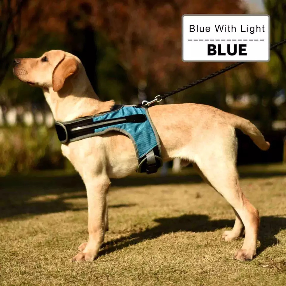 

Шлея с подсветкой для собак DogClub Blue XL (Г67-85 / Ш51-66)