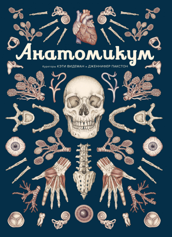 

Анатомикум. Энциклопедии