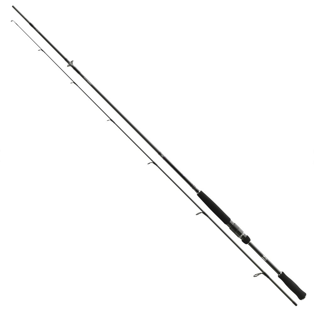 

Спиннинг Daiwa Prorex AGS 2.4m 10-30gr