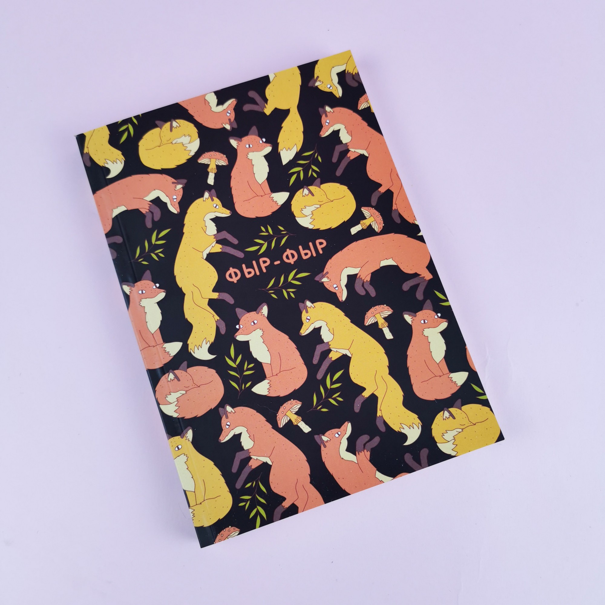 

Скетчбук Jotter Фыр фыр А5 130стр в мягкой обложке