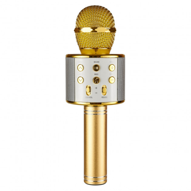 

Беспроводной bluetooth караоке микрофон WSTER 858 Gold (pr000388)