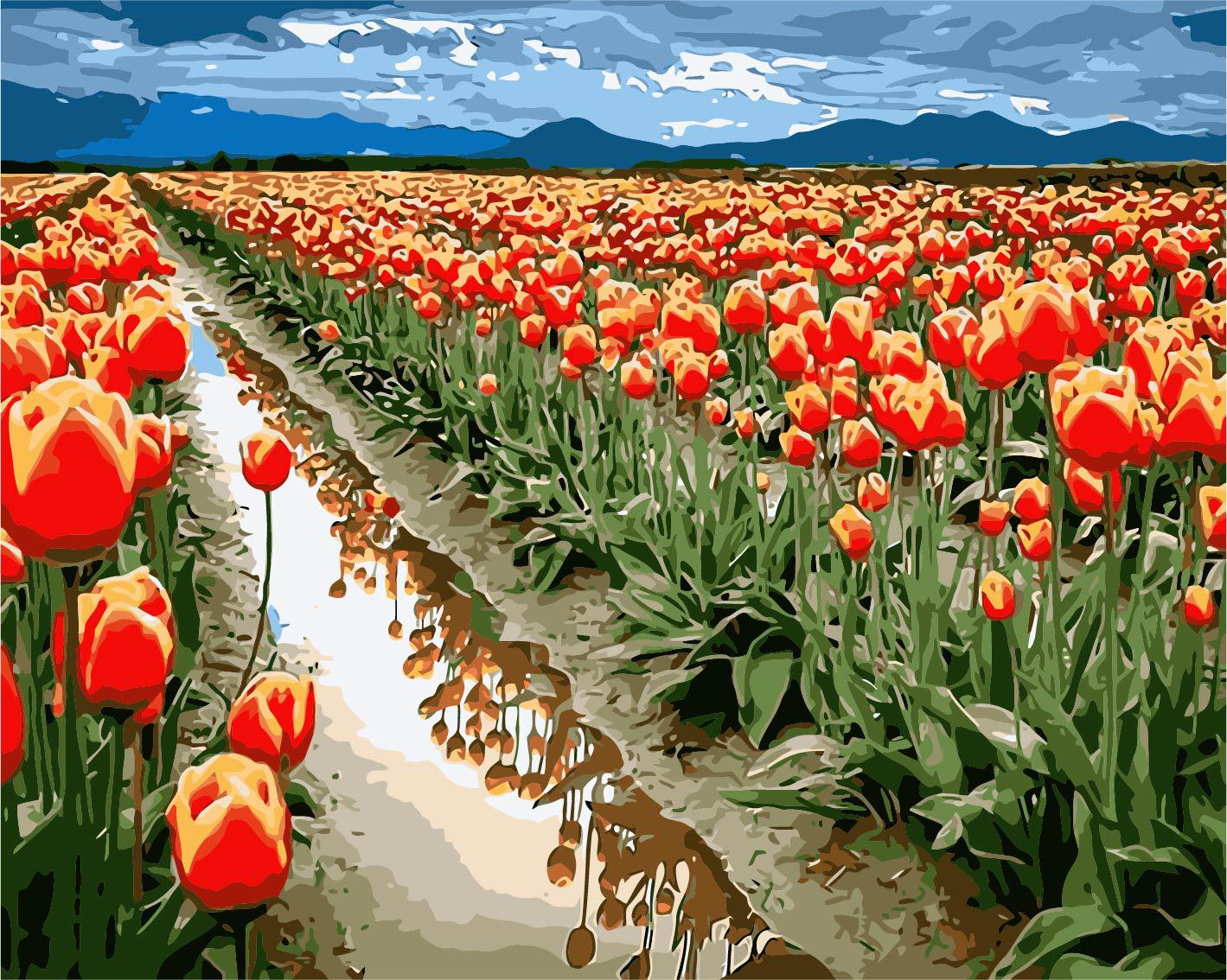 

Картина рисование по номерам Paintboy Море тюльпанов W4320 40х50 см Пейзаж, природа набор для росписи краски, кисти, холст