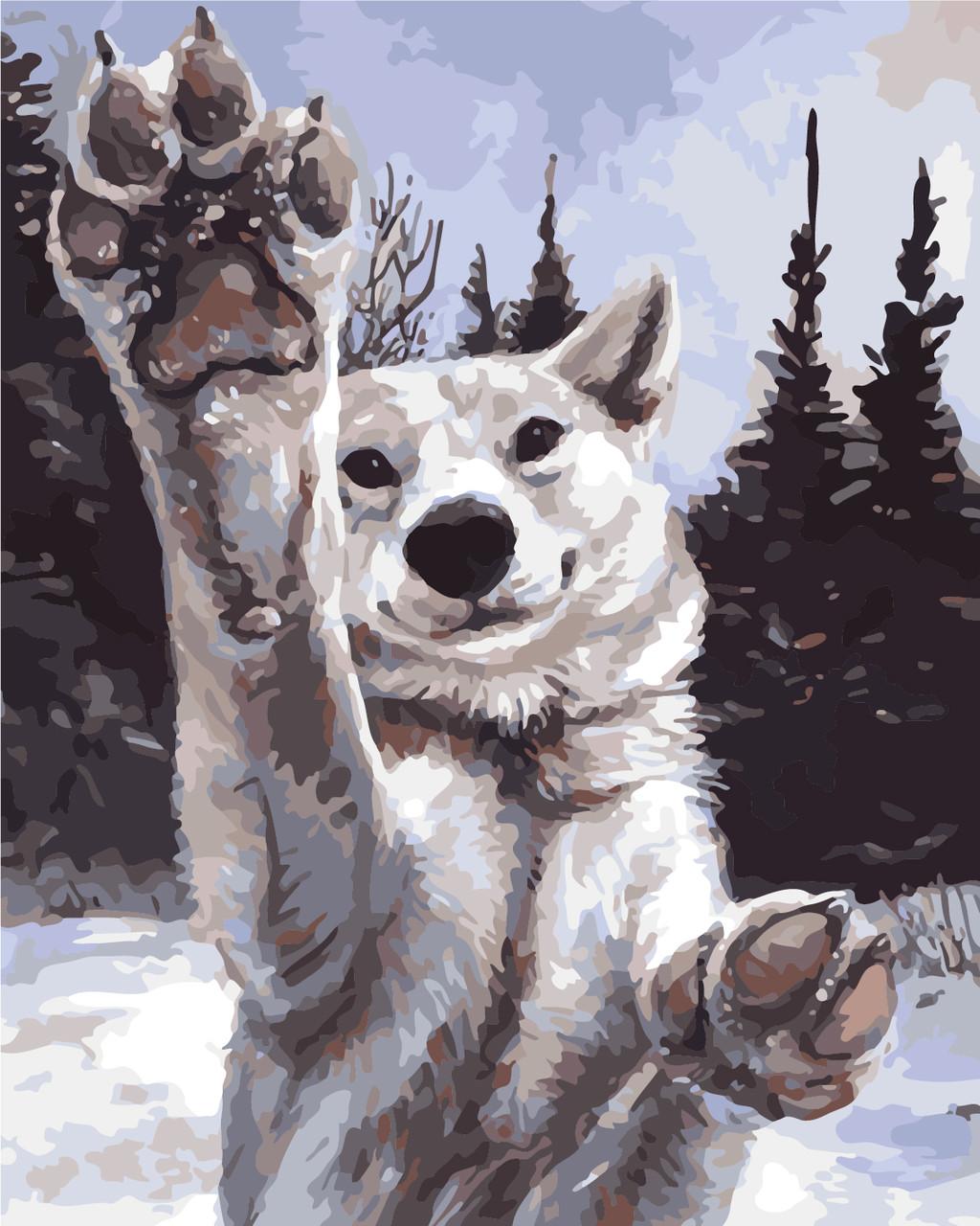 

Картина рисование по номерам ArtStory Хочу играть 40х50см AS0284 набор для росписи, краски, кисти, холст