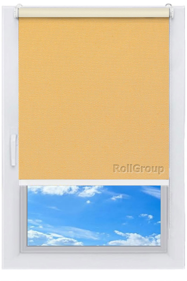 

Ролета тканевая Roll Group Берлин Blackout 125х165 см Бежевый