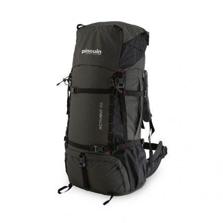 

Рюкзак Pinguin Activent 55 Black